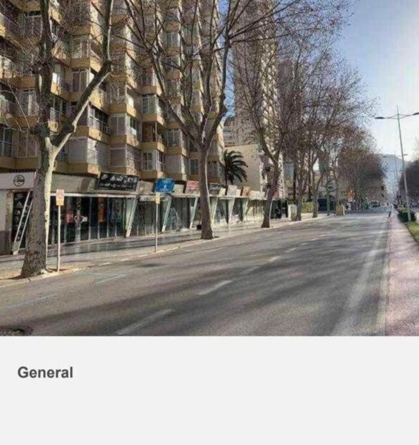 Los Caballos Vip Playa Levante بينايدورم المظهر الخارجي الصورة